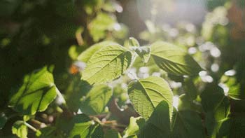 三八婦女節(jié)丨祝所有女神:愿你笑靨如花,一生不減芳華-杭州易造 三八婦女節(jié)丨祝所有女神:愿你笑靨如花,一生不減芳華-杭州易造