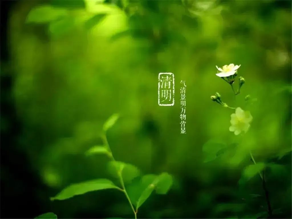 清明節(jié)——清明時節(jié)雨紛紛，路上行人欲斷魂