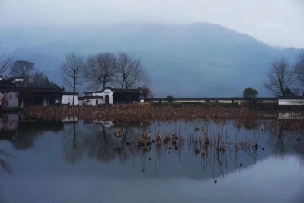 小寒-白日隱寒樹，野色籠寒霧