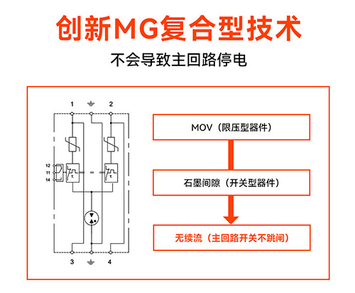 浪涌保護(hù)器廠(chǎng)家-復(fù)合型
